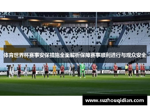 体育世界杯赛事安保措施全面解析保障赛事顺利进行与观众安全